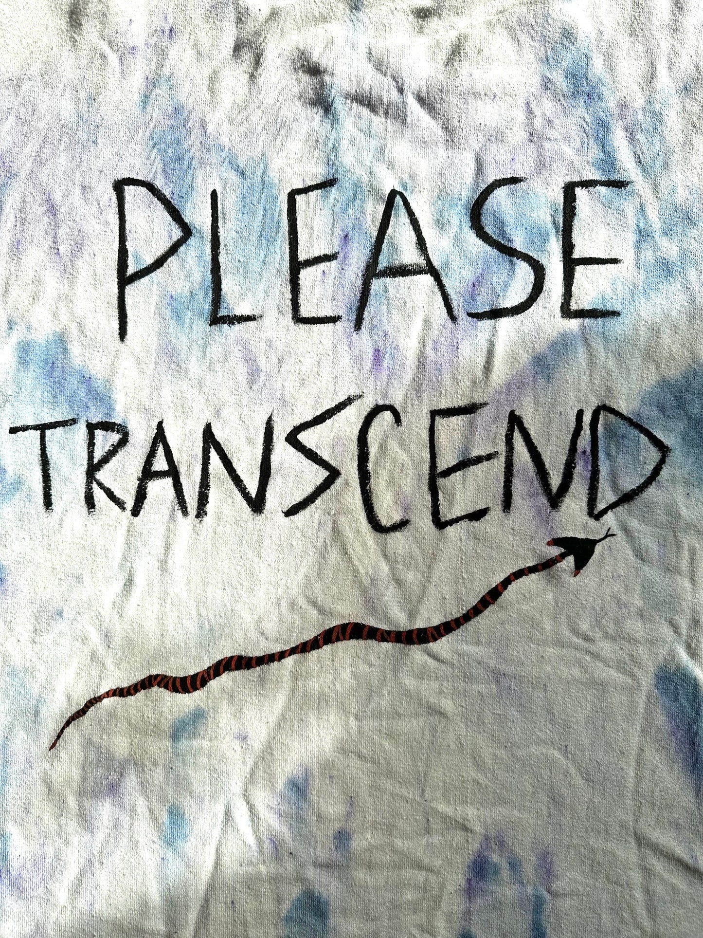 Collection Sauvage - Please Transcend (1/1)